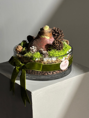 Waxed Amaryllis Bulb