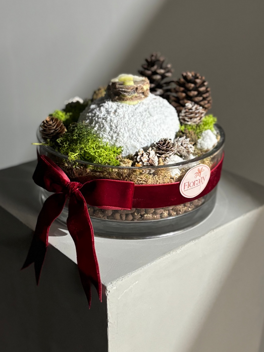 Decorative bowl with waxed amaryllis bulb, pinecones, and moss on a white surface